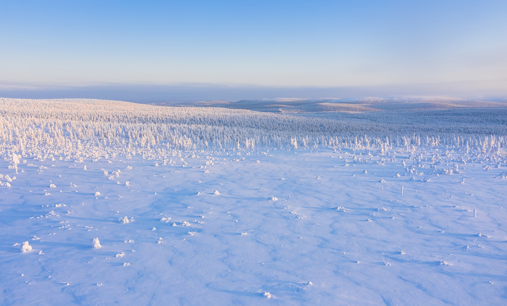 What fish can you catch ice fishing in Lapland?