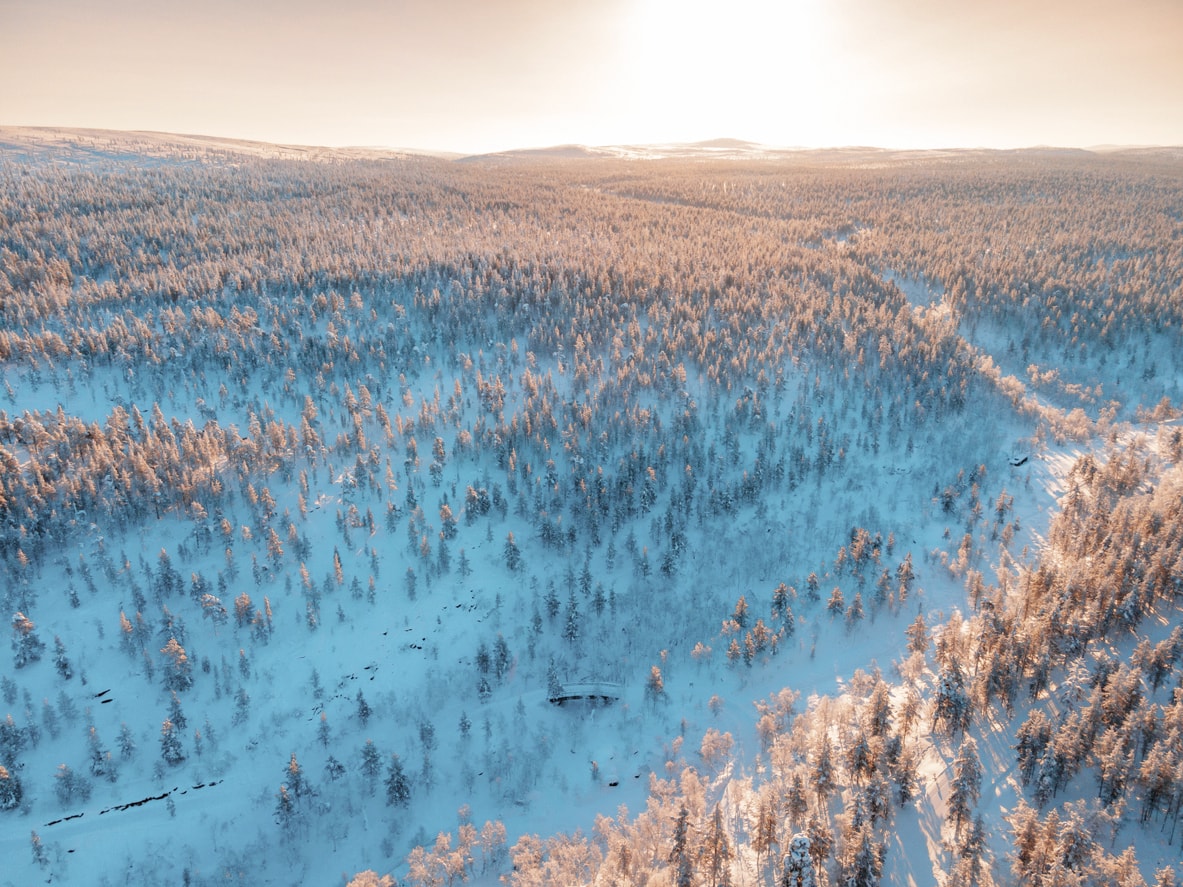 The Story of the Lappish Drum: A Symbol of Sámi Heritage